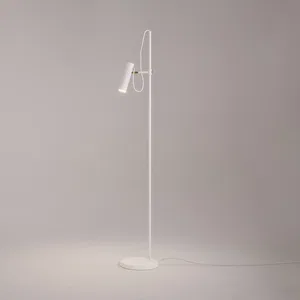 Напольный светильник (торшер) Maytoni MOD129FL-01W