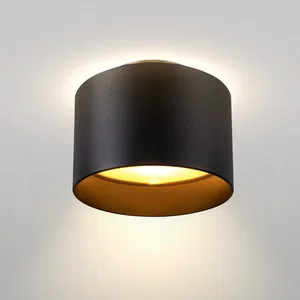 Потолочный светильник Technical C009CW-L16B