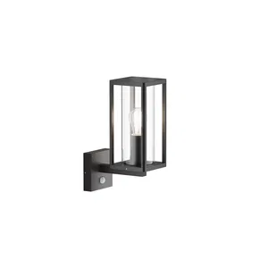 Уличный настенный светильник Outdoor O452WL-01GFSR