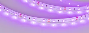 Лента RT-A60-8mm 12V Pink (4.8 W/m, IP20, 2835, 5m) (Arlight, 4.8 Вт/м, IP20)