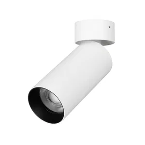 Светильник SP-GABI-SURFACE-FLAP-R50-9W Day4000 (WH, 36 deg, 230V) (Arlight, IP40 Металл, 5 лет)