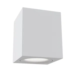 Потолочный светильник Technical C013CL-02W