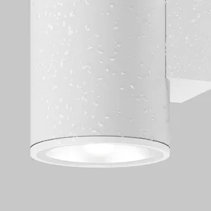Уличный настенный светильник Outdoor O303WL-L5W3K