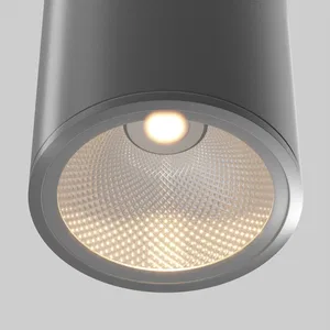 Уличный потолочный светильник Outdoor O306CL-L12GF