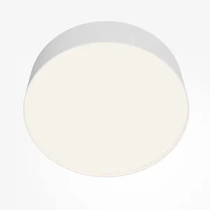 Потолочный светильник Technical C032CL-36W4K-RD-W
