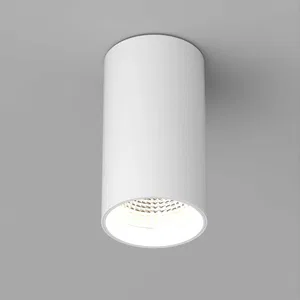 Светильник накладной SP-POLO-R85-1-15W Warm White 40deg (White, White Ring) (Arlight, IP20 Металл, 3 года)