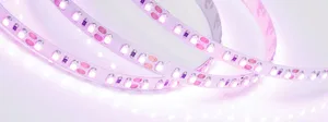 Лента RT-A120-8mm 12V Pink (9.6 W/m, IP20, 2835, 5m) (Arlight, Открытый)