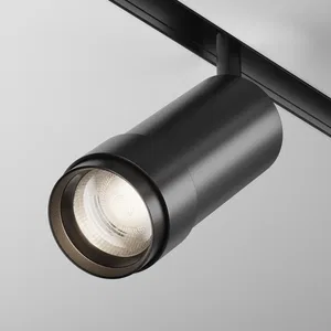 Трековый светильник Technical TR212-4-12WTW-DD2-Z-B