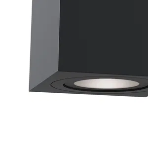Потолочный светильник Technical C017CL-02B