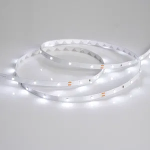 Лента RT 2-5000 24V White6000 0.5x (3528, 150 LED, LUX) (Arlight, 2.9 Вт/м, IP20)