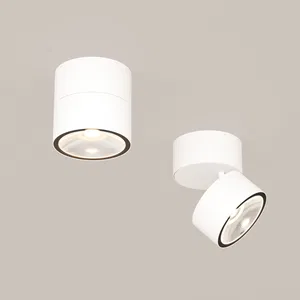 Уличный потолочный светильник Outdoor O310CL-L7W3K