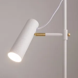 Напольный светильник (торшер) Maytoni MOD129FL-01W