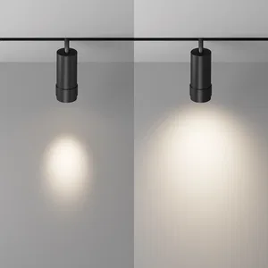 Трековый светильник Technical TR212-4-12WTW-DD2-Z-B