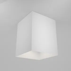 Потолочный светильник Technical C015CL-01W