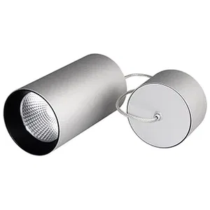 Светильник подвесной SP-POLO-R85-2-15W Day White 40deg (Silver, Black Ring) (Arlight, IP20 Металл, 3 года)