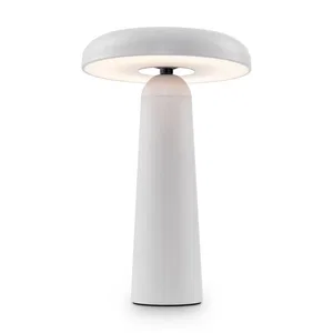 Аккумуляторный светильник Freya FR6109TL-L4W