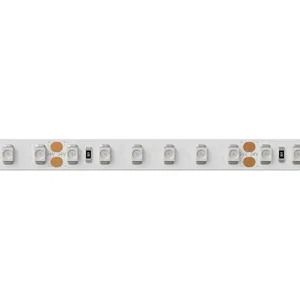 Лента RT 2-5000 24V Blue 2x (3528, 600 LED, LUX) (Arlight, 9.6 Вт/м, IP20)