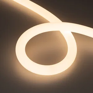 Лента герметичная MOONLIGHT-TOP-FP-X1088-D25mm 24V Warm3000 (20 W/m, IP65, 5m, wire x1) (Arlight, Вывод прямой, 3 года)