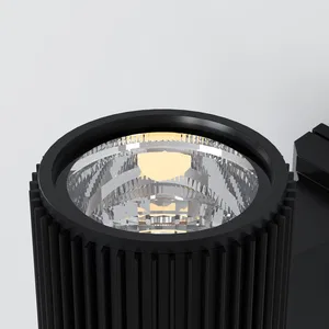 Уличный настенный светильник Outdoor O419WL-01B