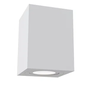 Потолочный светильник Technical C017CL-02B