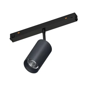 Светильник MAG-ORIENT-COLOR-SPOT-R45-10W Day4000 (RAL7024, 15 deg, 48V) (Arlight, IP20 Металл, 5 лет)
