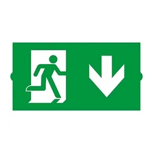 Пиктограмма EMGP-DIRECT-DOWN (Вниз) (Arlight, Пластик)
