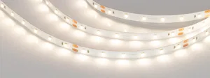 Лента NT-A60-8mm 24V Warm3000 (4.8 W/m, IP20, 3528, 5m) (Arlight, Открытый)