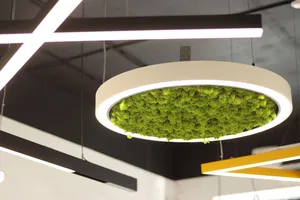 Модульный светильник HOKASU Halo Moss (кольцо со мхом)
