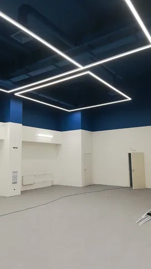 Линейный светильник HOKASU S50 U&D