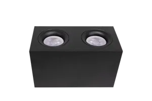 Потолочный светильник Technical C013CL-02B