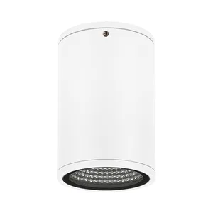 Светильник LGD-FORMA-SURFACE-R90-12W Warm3000 (WH, 44 deg, 230V) (Arlight, IP54 Металл, 3 года)
