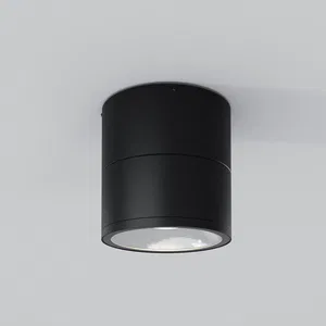 Уличный потолочный светильник Outdoor O310CL-L7GF3K