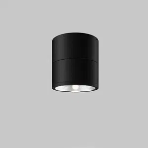 Уличный потолочный светильник Outdoor O310CL-L12GF3K