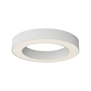 Потолочный светильник Technical C093CL-36W3K-W