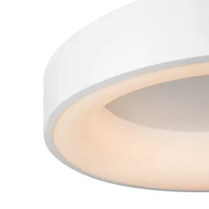 Потолочный светильник Freya FR6118CL-L45W