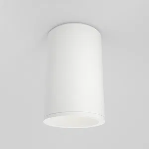 Потолочный светильник Technical C029CL-01-S-W