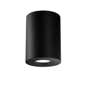 Потолочный светильник Technical C016CL-01W
