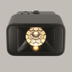 Трековый светильник Technical TR100-2-2W3K-S-B