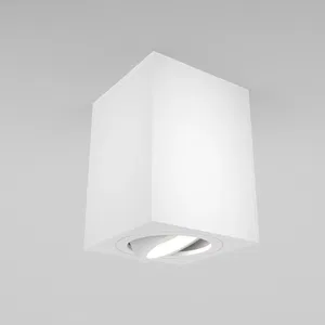 Потолочный светильник Technical C017CL-01W