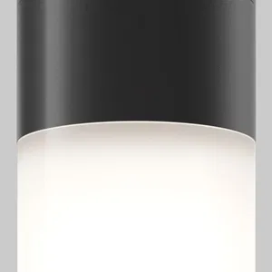 Уличный потолочный светильник Outdoor O418CL-01B