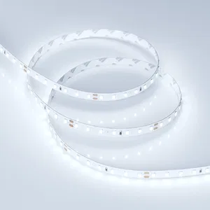 Лента RT 2-5000 24V Cool 8K 1.6x (2835, 490 LED, PRO) (Arlight, 10 Вт/м, IP20)