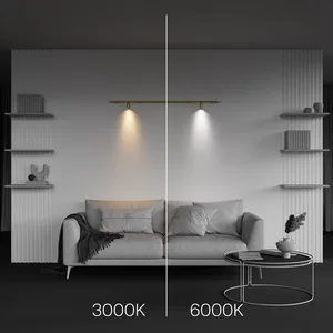 Светильник Technical C103CL-5W3-6K-BS