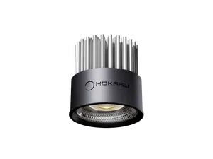 Module HOKASU HS45 (RAL9005/25deg — 4K/10W/CRI90)