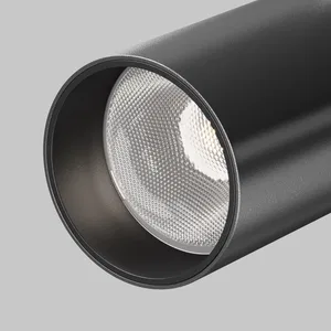Потолочный светильник Technical C055CL-L12W4K-SS-B