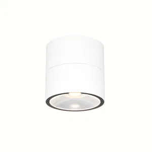 Уличный потолочный светильник Outdoor O310CL-L12W3K