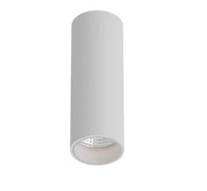 Светильник накладной HOKASU Tube (55-120/ral9003 – 10w/3090/38deg) + DALI