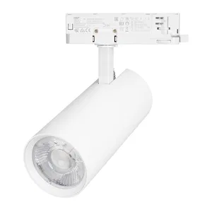 Светильник LGD-GERA-4TR-R90-40W Warm3000 (WH, 36 deg, 230V) (Arlight, IP20 Металл, 5 лет)
