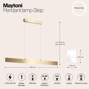 Подвесной светильник Maytoni P010PL-L30G4K