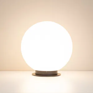 GLOBE GLOBE