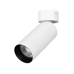 Светильник SP-GABI-SURFACE-FLAP-R50-9W Day4000 (WH, 36 deg, 230V) (Arlight, IP40 Металл, 5 лет)